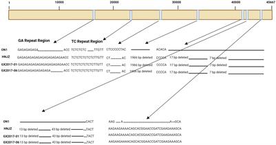 Biological features of fowl adenovirus serotype-4